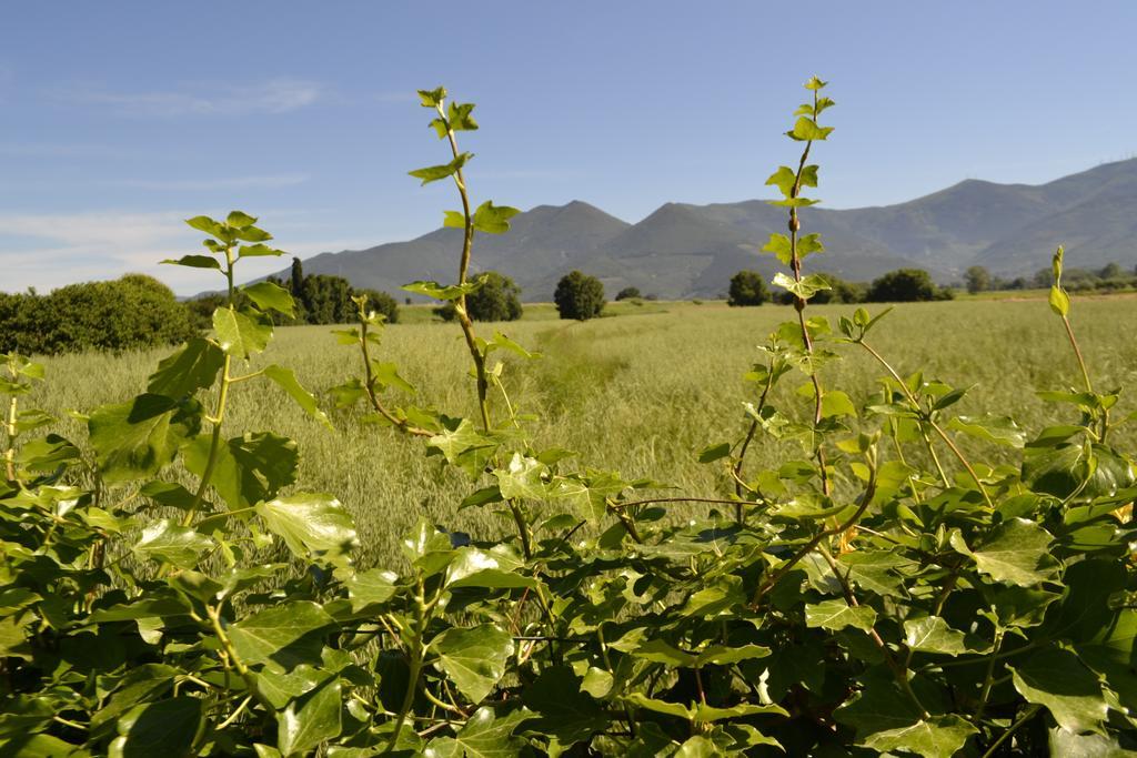 B&B Glicine E Luna Cascina Luaran gambar